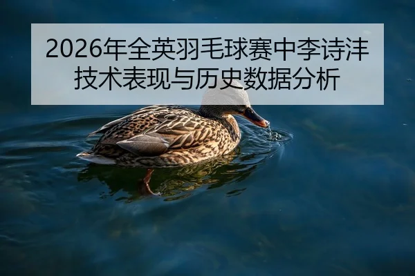 2026年全英羽毛球赛中李诗沣技术表现与历史数据分析