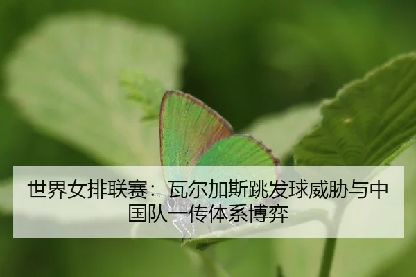 shi-jie-nv-pai-lian-sai-wa-er-jia-si-tiao-fa-qiu-wei-xie-yu-zhong-guo-dui-yi-chuan-ti-xi-bo-yi-3-801.jpg