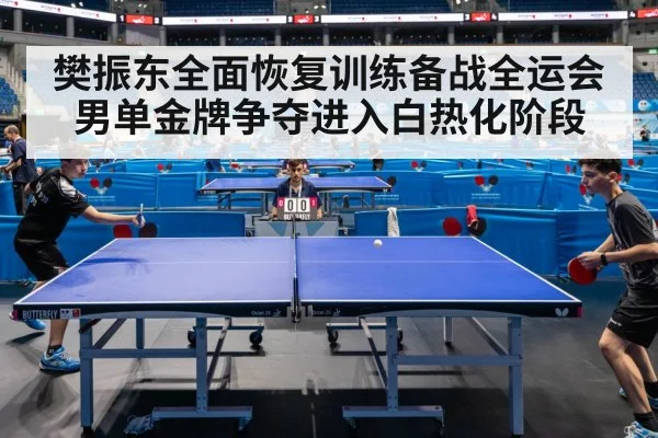樊振东全面恢复训练备战全运会男单金牌争夺进入白热化阶段
