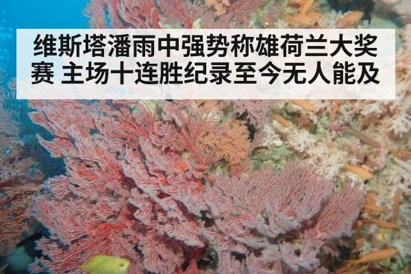 维斯塔潘雨中强势称雄荷兰大奖赛 主场十连胜纪录至今无人能及